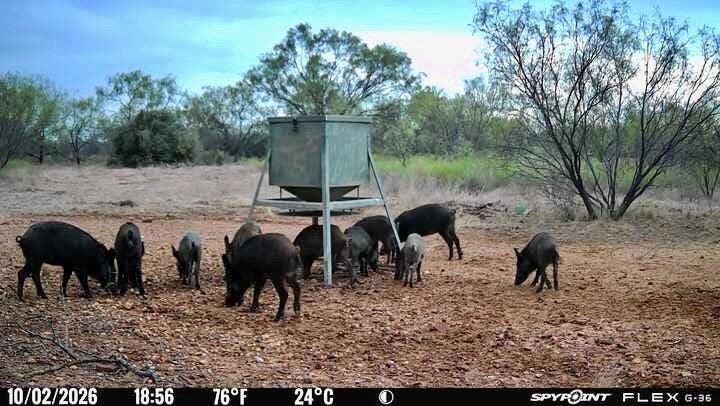 1722 FM 574, Mullin, TX 76864