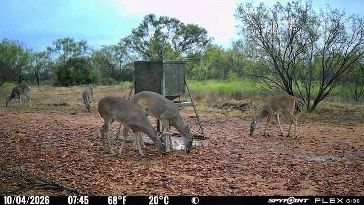 1722 FM 574, Mullin, TX 76864