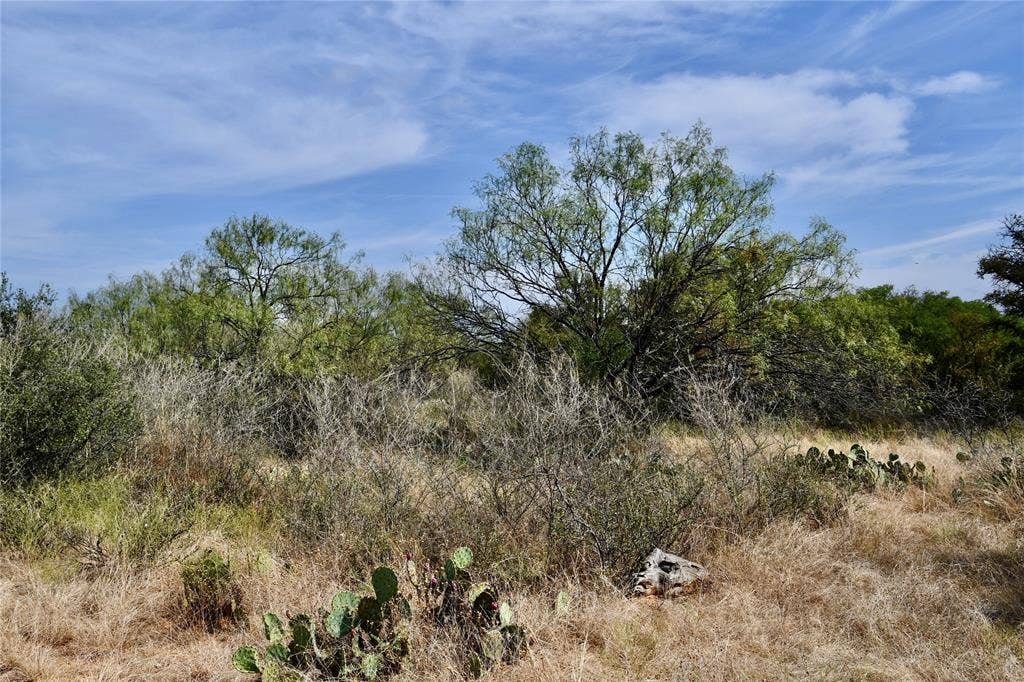 1722 FM 574, Mullin, TX 76864