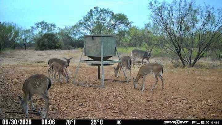 1722 FM 574, Mullin, TX 76864