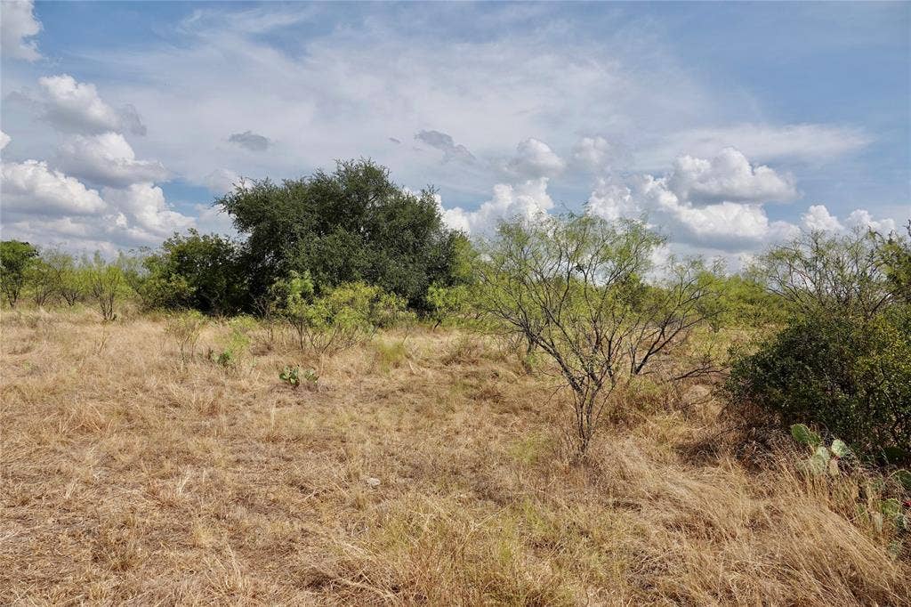 1722 FM 574, Mullin, TX 76864