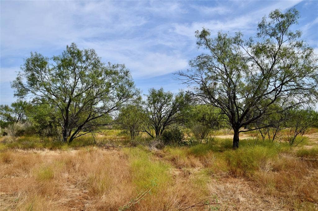 1722 FM 574, Mullin, TX 76864