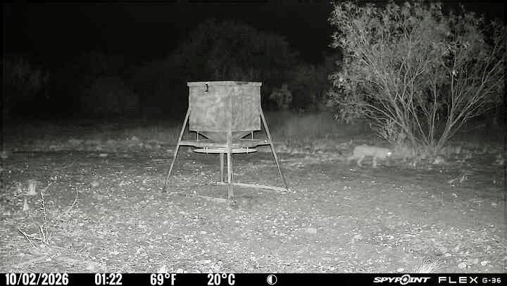 1722 FM 574, Mullin, TX 76864