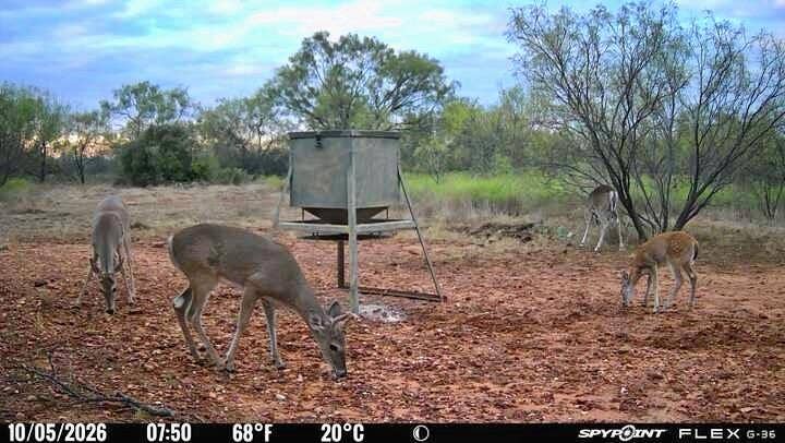 1722 FM 574, Mullin, TX 76864