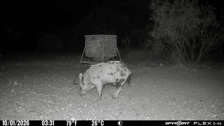 1722 FM 574, Mullin, TX 76864