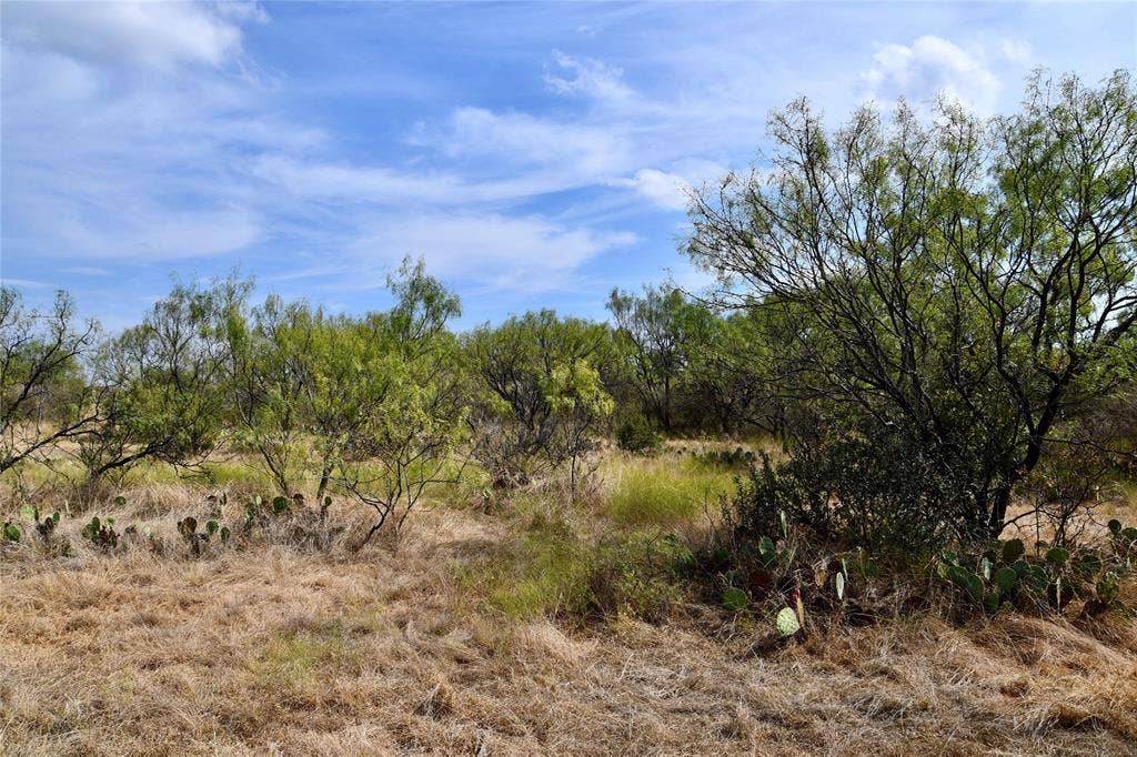1722 FM 574, Mullin, TX 76864