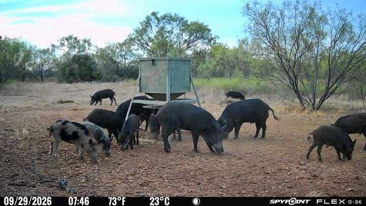 1722 FM 574, Mullin, TX 76864