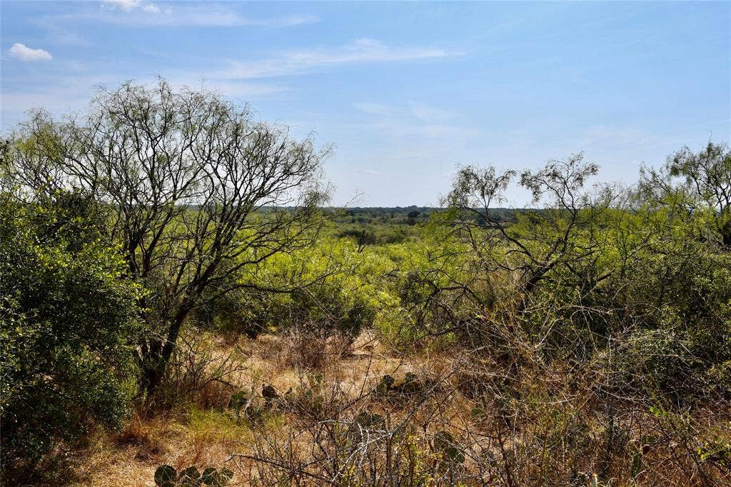 1722 FM 574, Mullin, TX 76864