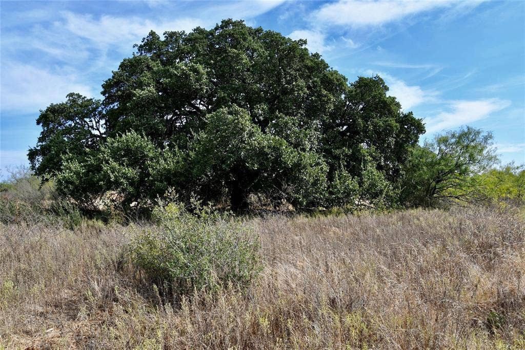 1722 FM 574, Mullin, TX 76864