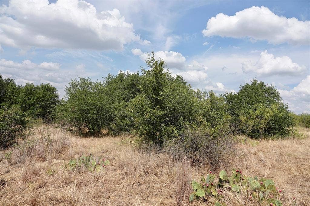 1722 FM 574, Mullin, TX 76864