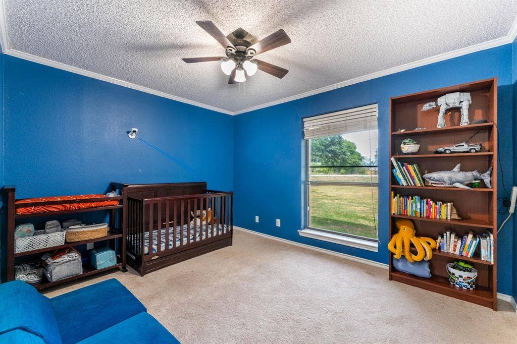 815 W Cook Street, Josephine, TX 75173 815 W Cook Street, Josephine, TX 75173
