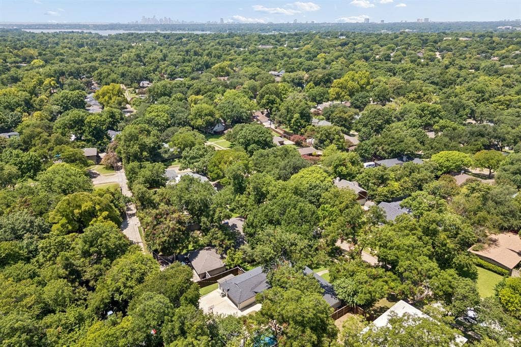 10428 Vinemont, Dallas, TX 75218 Expansive tree-lined neighborhood with residential properties, streets, and distant city skyline
