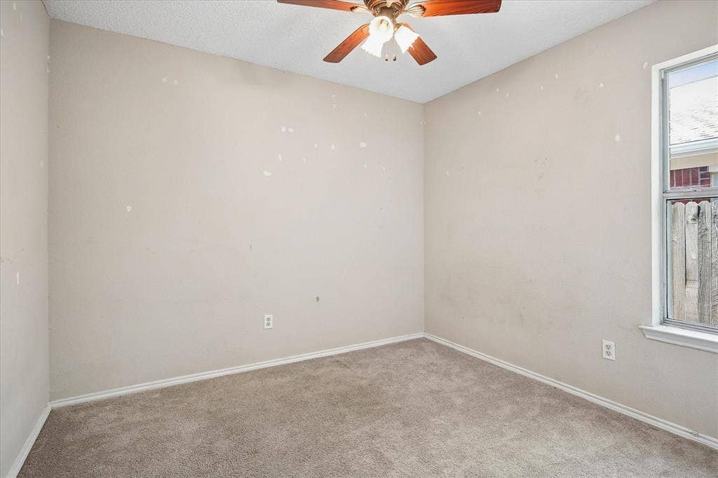 Carpeted flooring, ceiling fan with light fixture, single window, and neutral wall tones