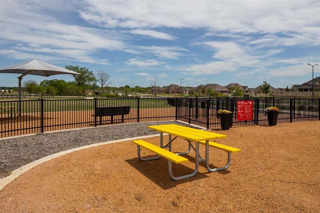 Dog Park