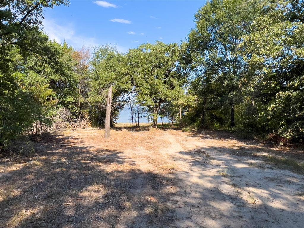 445 Sun Valley, Mabank, TX 75147 1.62 wooded acres ready for you to make your own.
