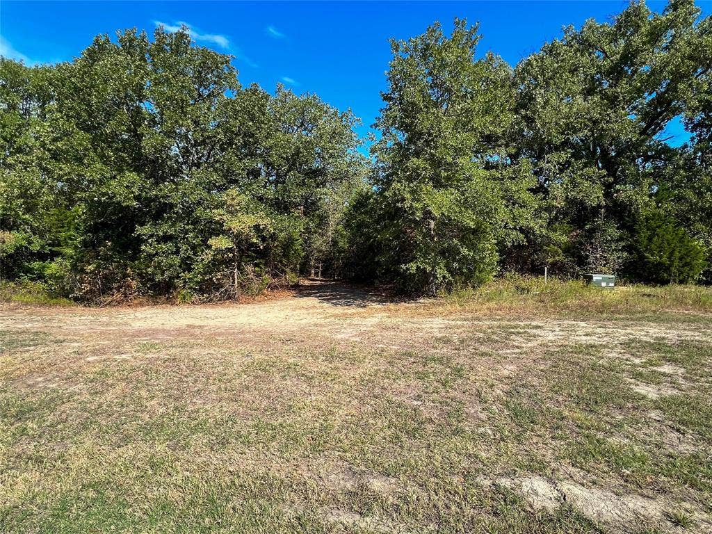 445 Sun Valley, Mabank, TX 75147 View from road--area cleared for access to walk the property to the water. Just imagine your driveway here driveway throught the trees to your beautiful custom home on the lake.