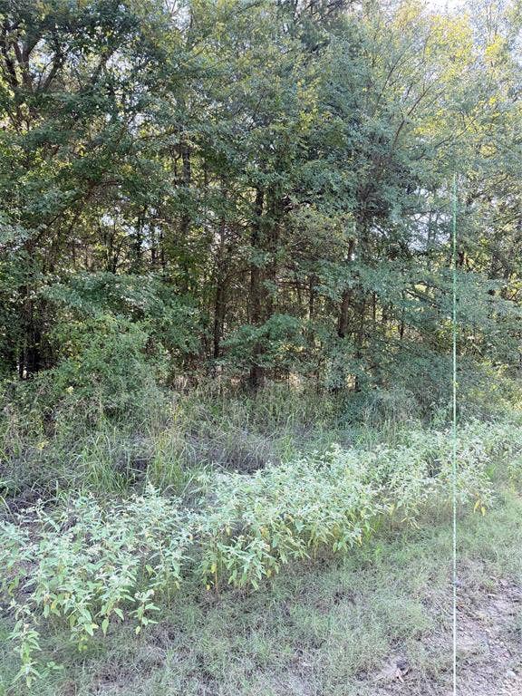Property photo for 106 Longhorn Road, Mabank, TX