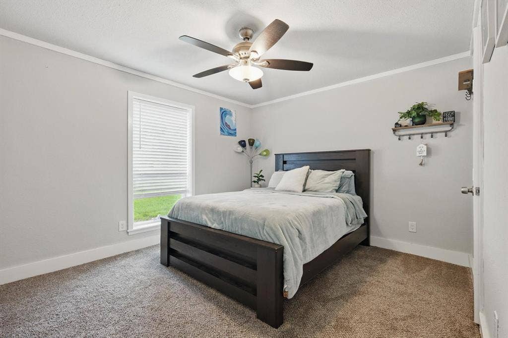 5247 Fm 1569, Farmersville, TX 75442 Neutral wall paint with white trim, ceiling fan with light fixture, window with blinds, and carpeted flooring