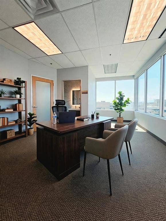 1675 Republic Parkway, #201B, Mesquite, TX 75150 Wood-finish executive desk with integrated storage, full-height windows, recessed ceiling lighting, and carpeted flooring