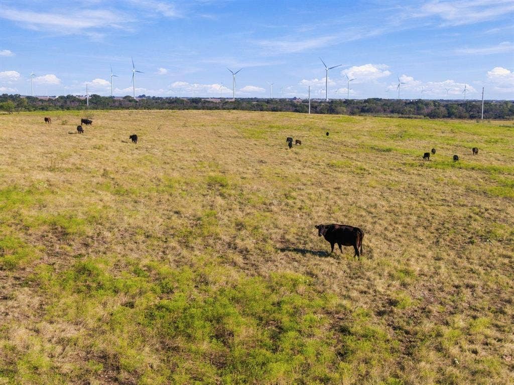1203 Hcr 3220, Penelope, TX 76676