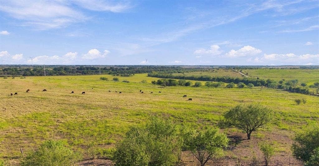 1203 Hcr 3220, Penelope, TX 76676