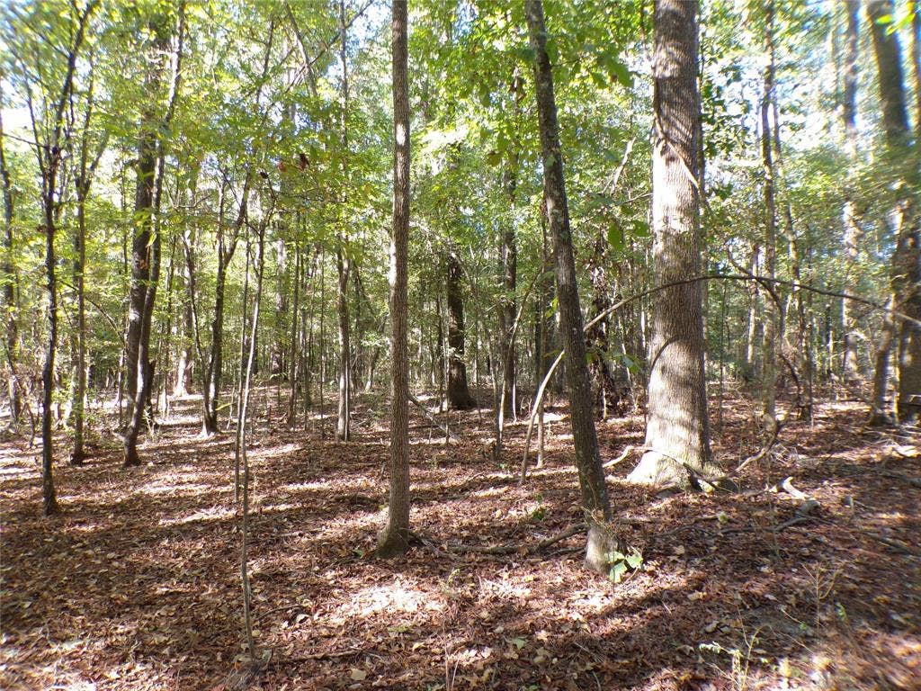 175 Brown Road, Springhill, LA 71075 175 Brown Road, Springhill, LA 71075
