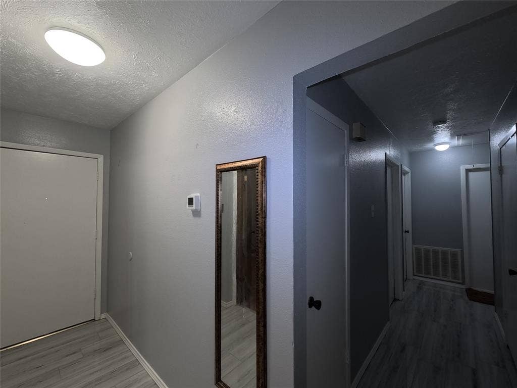 21 W Townhouse Lane, #33, Grand Prairie, TX 75052 Gray wall paint with white trim, wood-finish flooring, and flush-mount ceiling lighting
