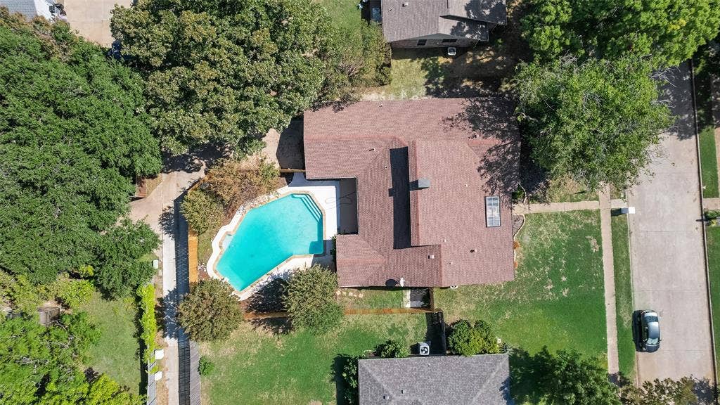 1903 Clemson Drive, Richardson, TX 75081 Irregularly shaped pool with integrated steps, surrounding hardscaping, and a mature tree canopy