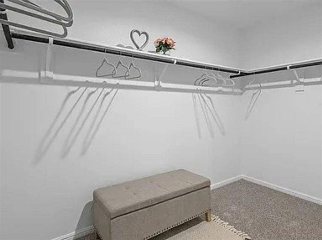 Walk in closet with carpet floors