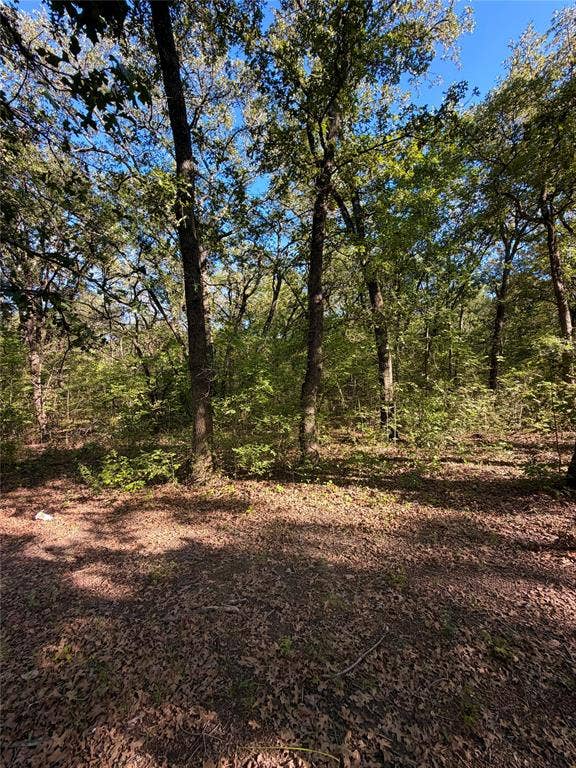 9460 Amy Drive, Hawk Cove, TX 75474 9460 Amy Drive, Hawk Cove, TX 75474