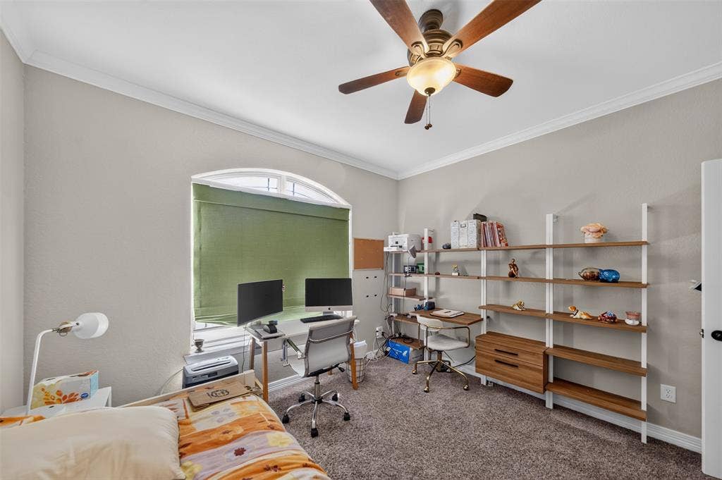 Library/study/office