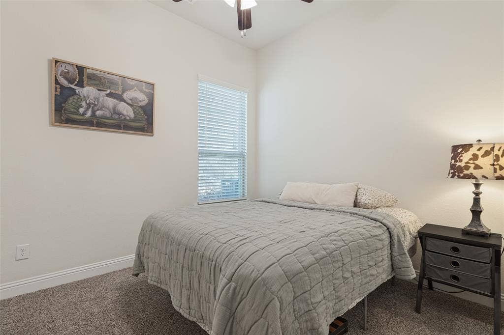 7324 Snapdragon Court, Little Elm, TX 76227