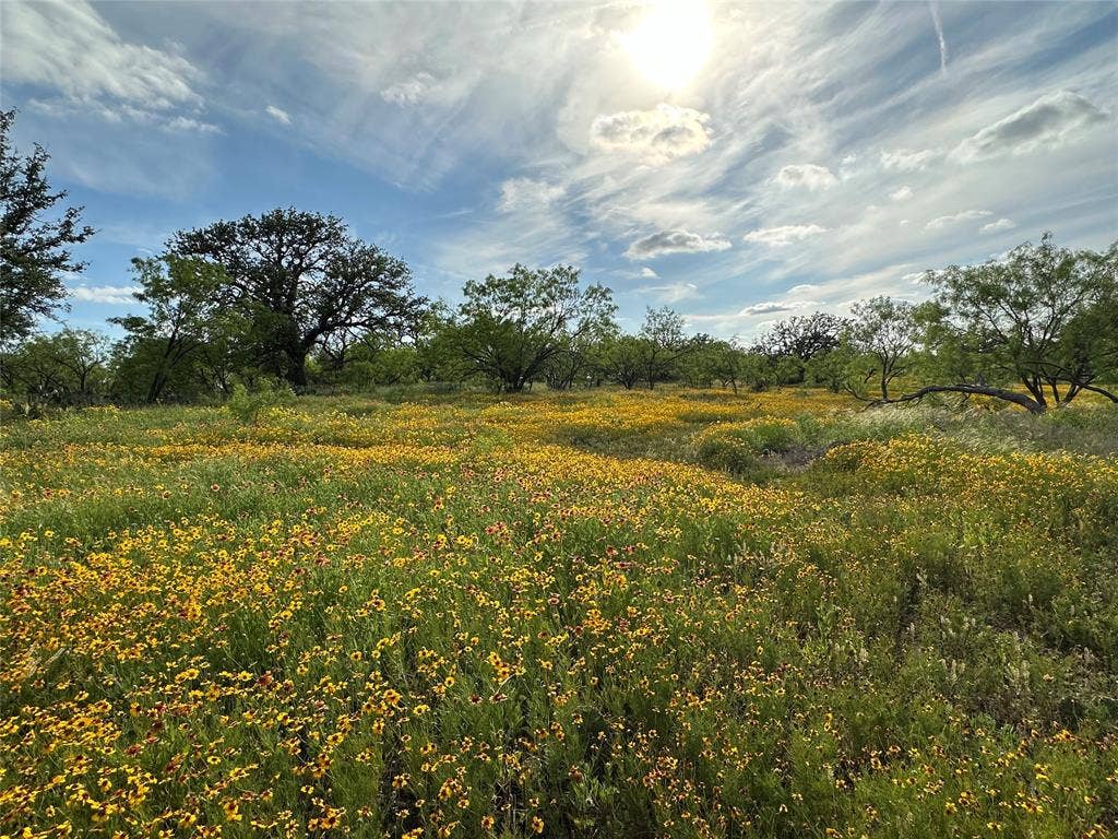 2240 Buck Ridge Road, Brady, TX 76858 2240 Buck Ridge Road, Brady, TX 76858