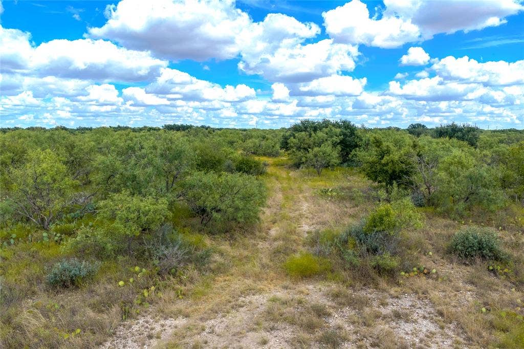 2240 Buck Ridge Road, Brady, TX 76858 Road View