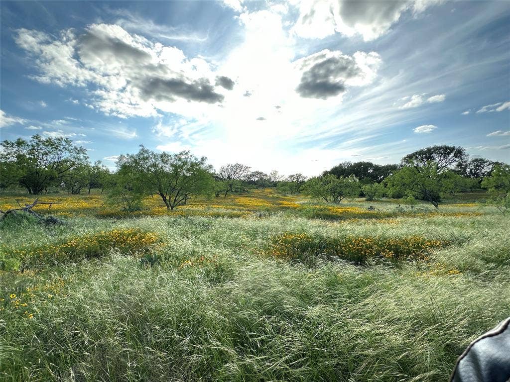 2240 Buck Ridge Road, Brady, TX 76858 Wildlife Exemption