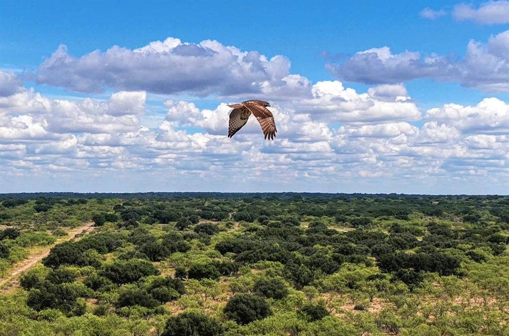 2240 Buck Ridge Road, Brady, TX 76858 2240 Buck Ridge Road, Brady, TX 76858