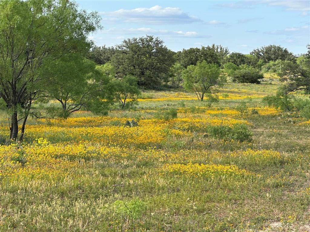 2240 Buck Ridge Road, Brady, TX 76858 Wildlife Exemption