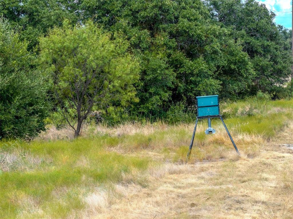 2240 Buck Ridge Road, Brady, TX 76858 Feeders