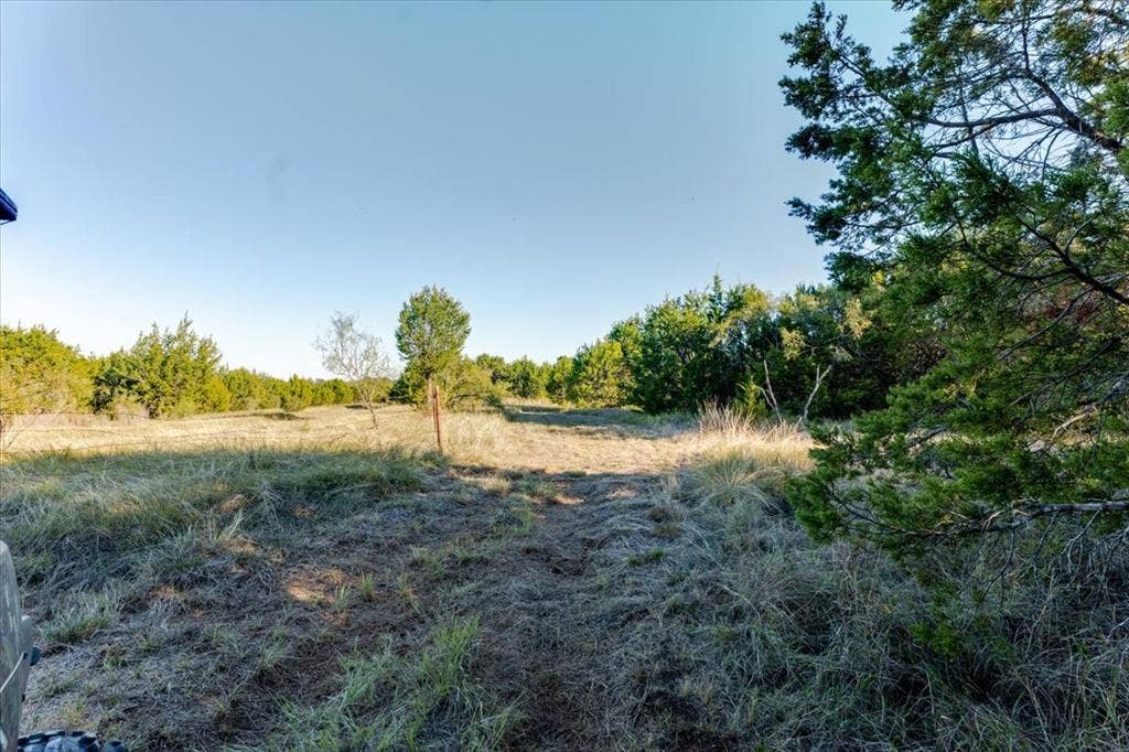 Expansive land with natural vegetation and established trees