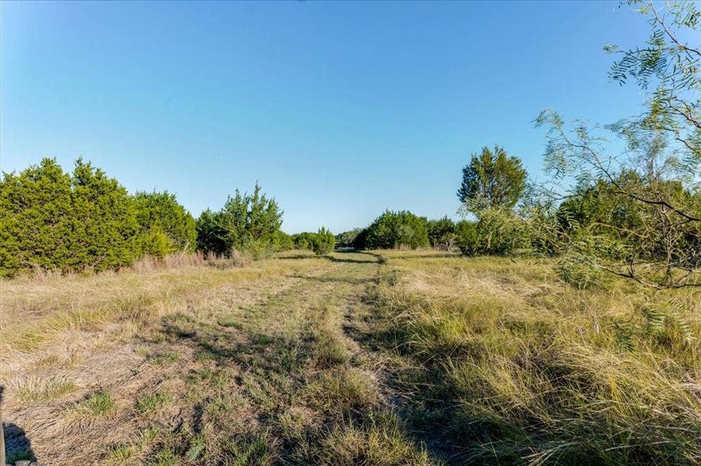 Expansive undeveloped land with natural vegetation and distant trees