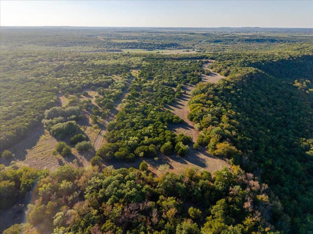 Expansive land featuring diverse tree coverage and varied topography