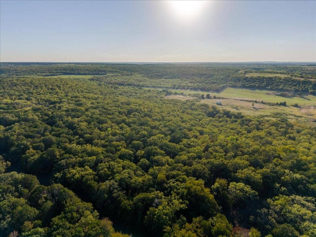 Expansive acreage featuring dense tree coverage and open clearings
