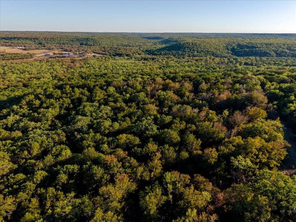Expansive wooded acreage with a distant building structure visible