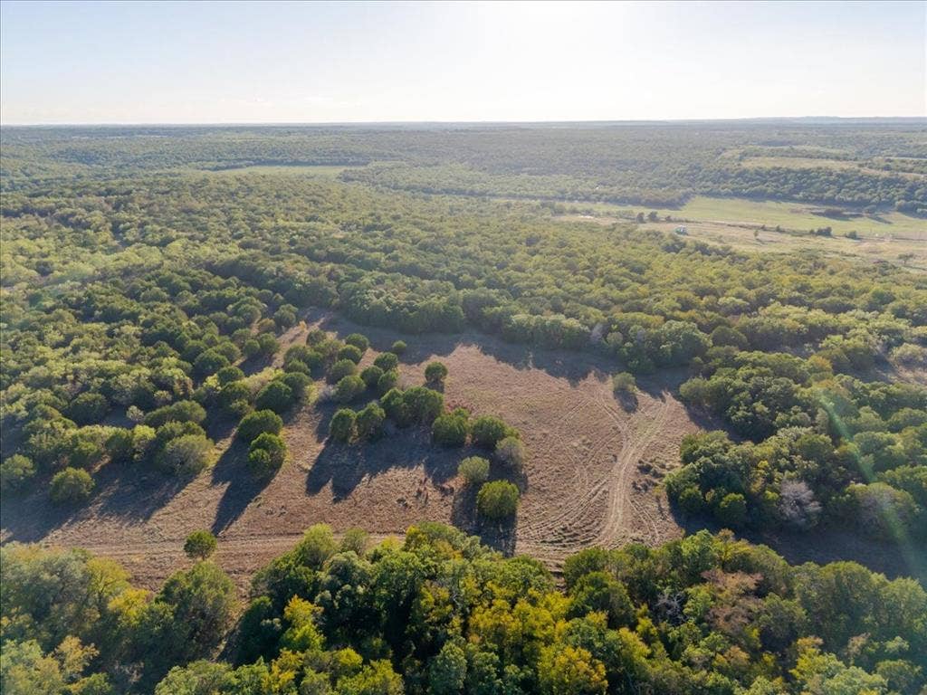 Expansive land featuring diverse tree coverage, open clearings, and a distant field
