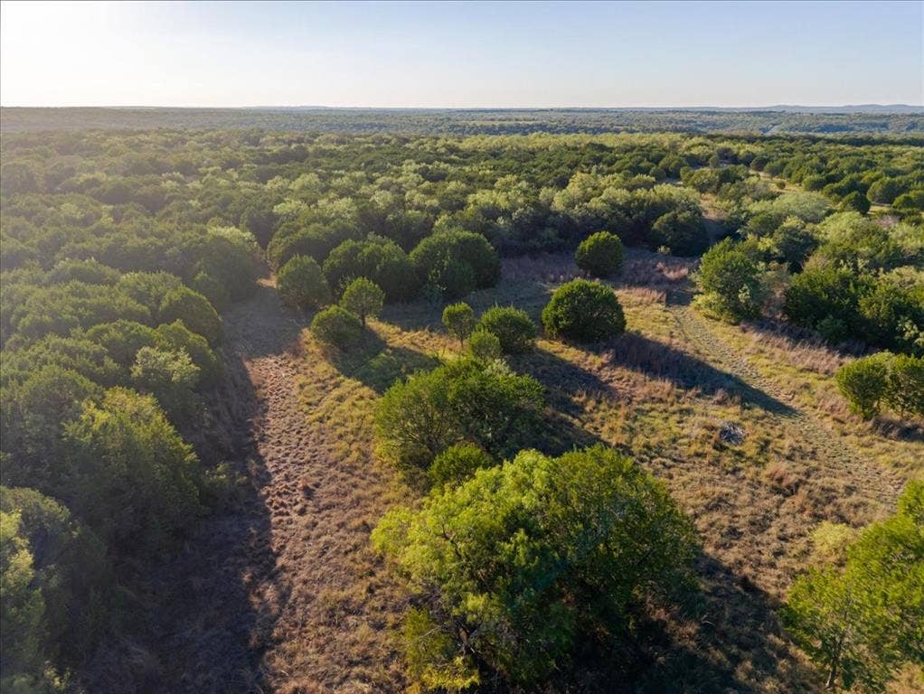 Expansive property featuring dense tree coverage and open grassy areas