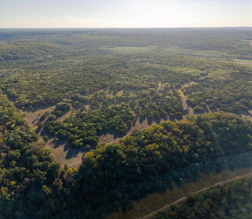 Expansive acreage featuring abundant mature trees and natural clearings