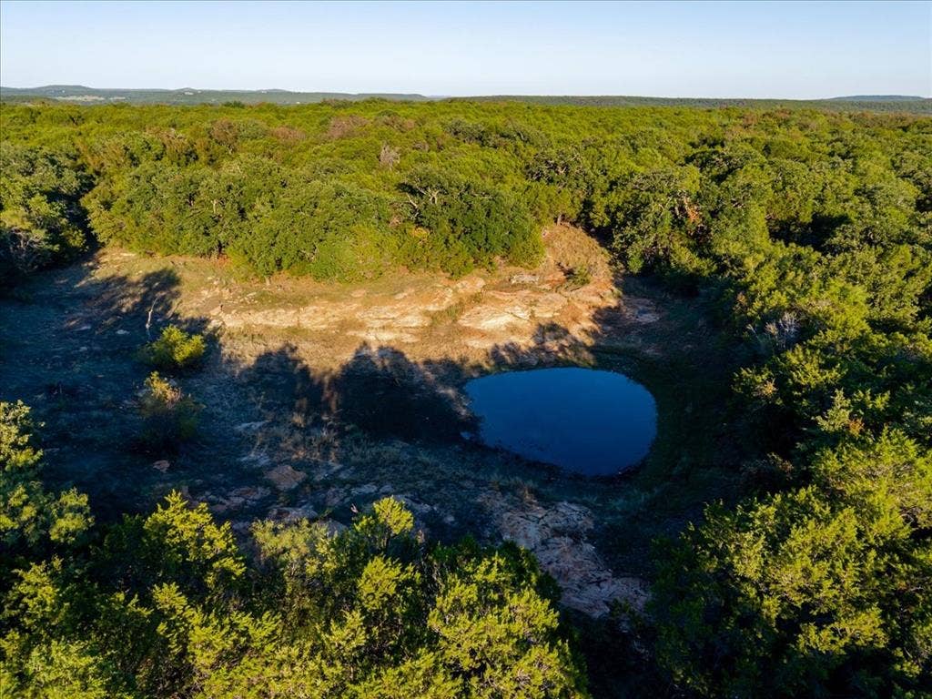 Stock tank surrounded by dense, mature trees and varied vegetation