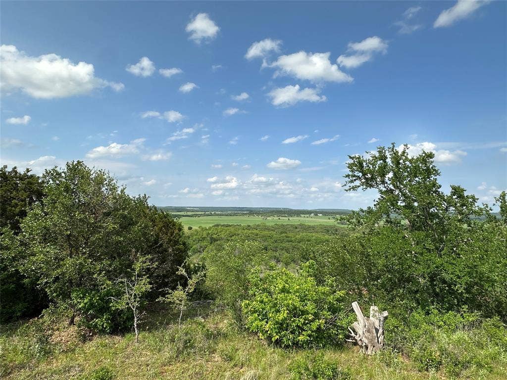 Expansive green landscape under a bright blue sky with scattered white clouds