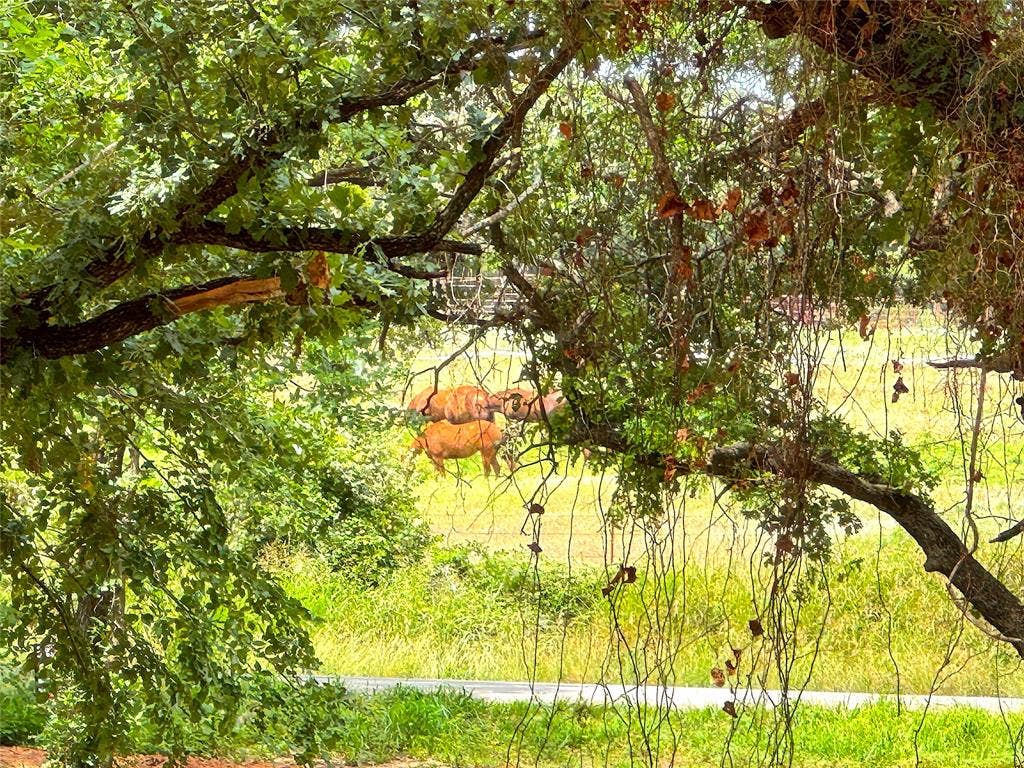 TBD B Turpin Lake Road, Poolville, TX 76487