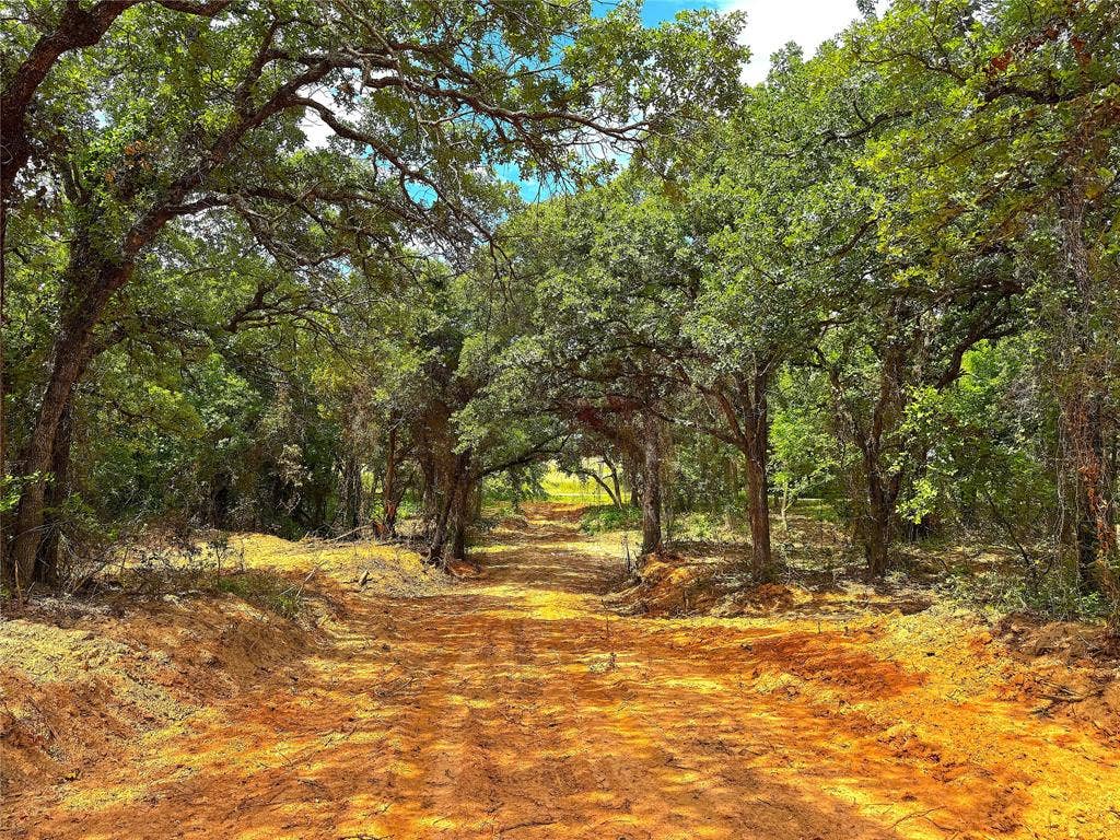 TBD B Turpin Lake Road, Poolville, TX 76487